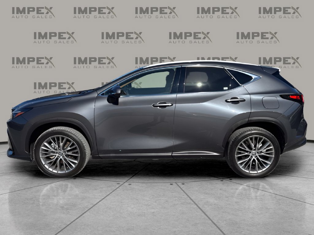 Used 2025 Lexus NX 350h AWD w/ Cold Area Package image 2