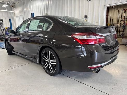 Used 2017 Honda Accord Sport Special Edition image 7