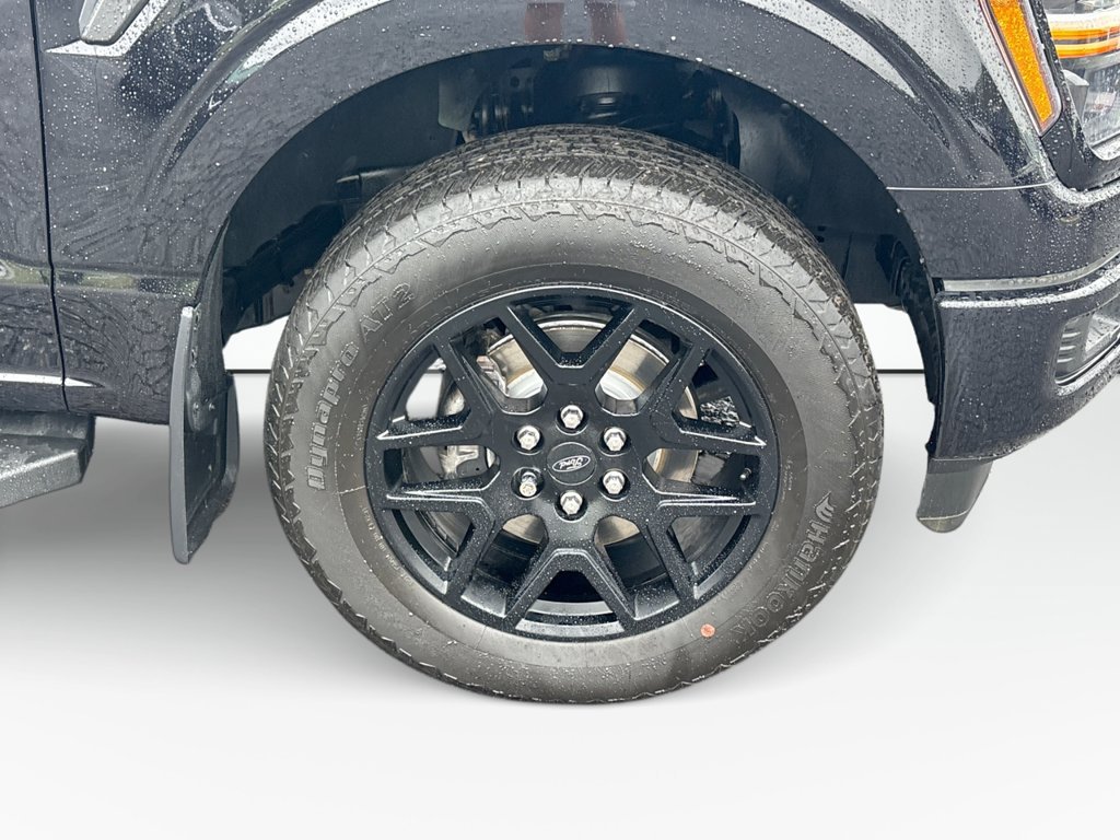 Certified 2024 Ford F150 STX w/ STX Black Appearance Package AWD/4WD image 12