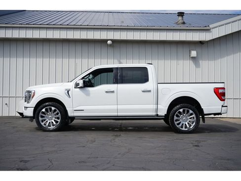 Used 2023 Ford F150 Limited image 6