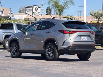 Used 2023 Lexus NX 350 AWD w/ Cold Area Package