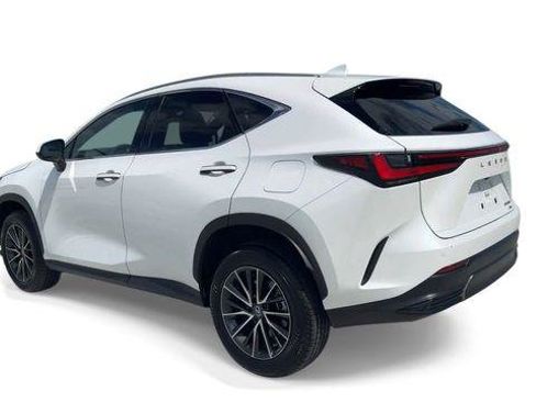 Certified 2024 Lexus NX 350 AWD image 6