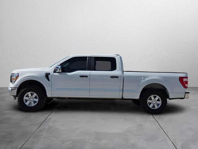 Used 2021 Ford F150 XL w/ Equipment Group 101A High AWD/4WD image 2