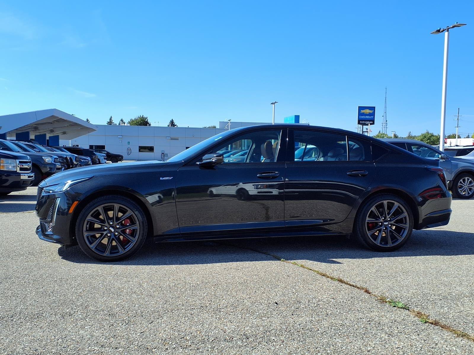 Used 2024 Cadillac CT5 V w/ Platinum Package AWD/4WD image 8