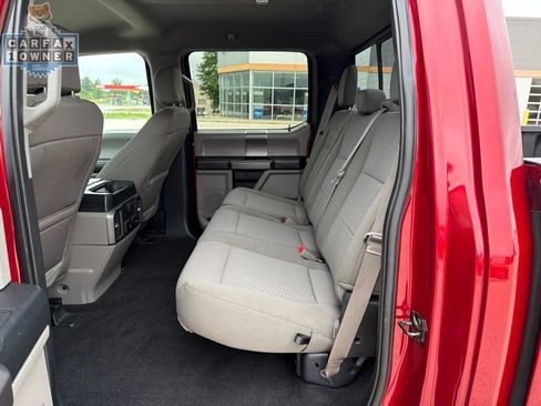 Used 2019 Ford F150 XLT w/ Equipment Group 302A Luxury AWD/4WD image 10