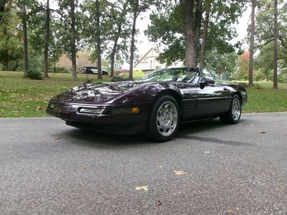 Used 1992 Chevrolet Corvette Convertible