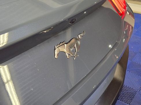 Used 2025 Ford Mustang EcoBoost image 26