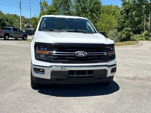 Used 2025 Ford F150 XLT w/ Equipment Group 301A Standard AWD/4WD image 9
