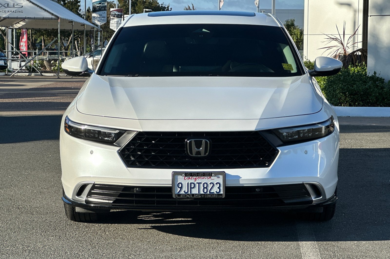 Used 2024 Honda Accord Touring image 6