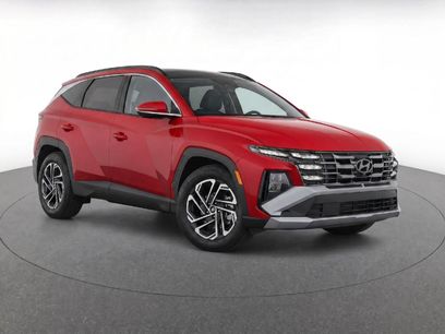 Used 2026 Hyundai Tucson Limited