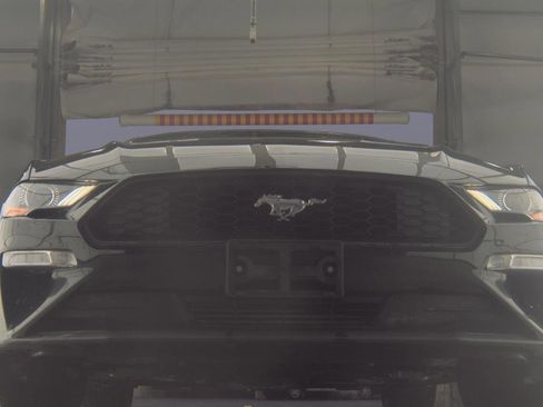 Used 2019 Ford Mustang Premium w/ Ecoboost Performance Package image 3