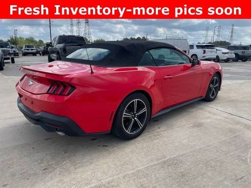 Used 2024 Ford Mustang Premium image 3