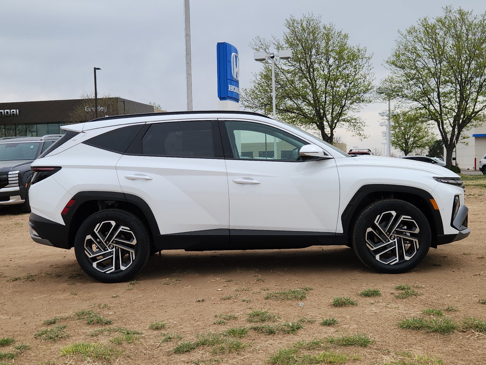 New 2026 Hyundai Tucson Limited AWD/4WD image 6
