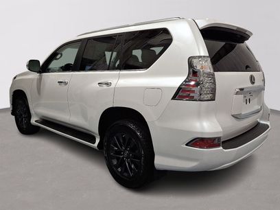 Used 2023 Lexus GX 460 Premium