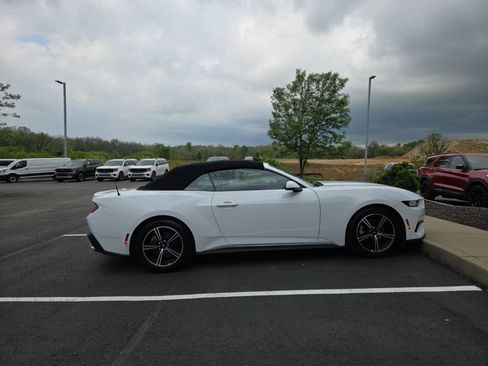 Used 2024 Ford Mustang Premium image 6