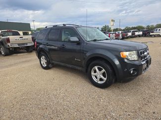 Used 2010 Ford Escape Limited image 1