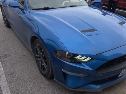 Used 2019 Ford Mustang Coupe w/ Equipment Group 101A