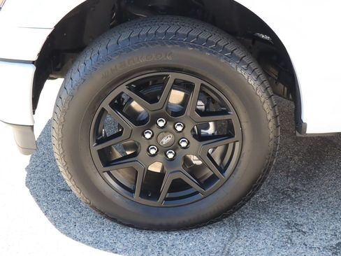Used 2025 Ford F150 STX w/ STX Black Appearance Package AWD/4WD image 14