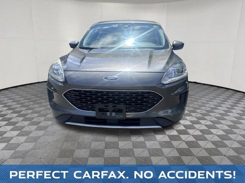 Used 2020 Ford Escape SE AWD/4WD image 3