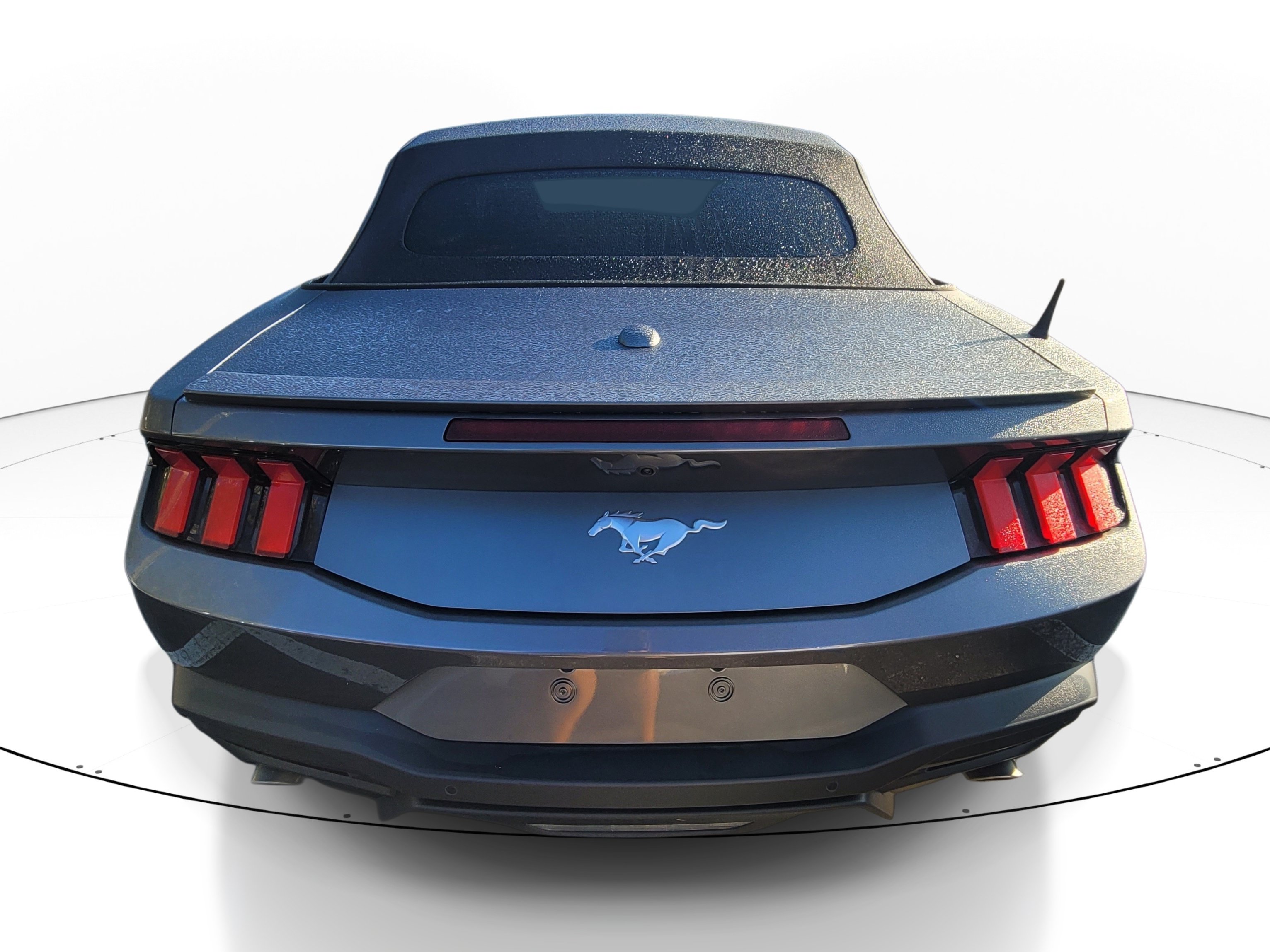 Used 2025 Ford Mustang Premium w/ Wheel & Stripe Package RWD image 5