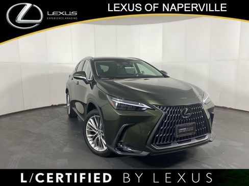Certified 2025 Lexus NX 350 AWD w/ Cold Area Package image 1