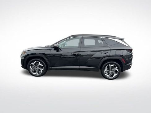 Certified 2023 Hyundai Tucson Limited image 2