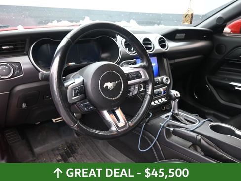 Used 2019 Ford Mustang GT Premium w/ Equipment Group 401A RWD image 19