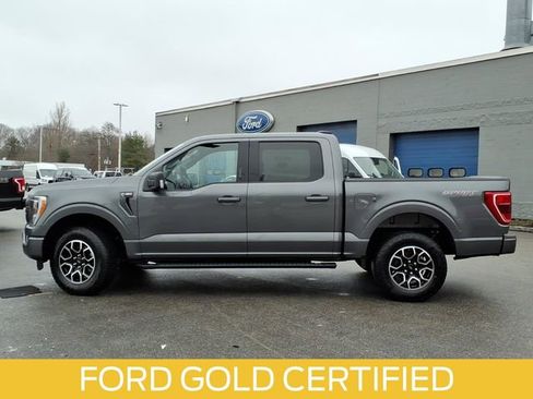 Certified 2023 Ford F150 XLT w/ Equipment Group 302A High image 2