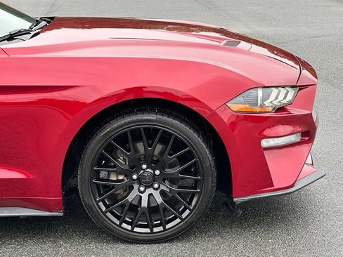 Used 2019 Ford Mustang Premium w/ Equipment Group 201A RWD image 35