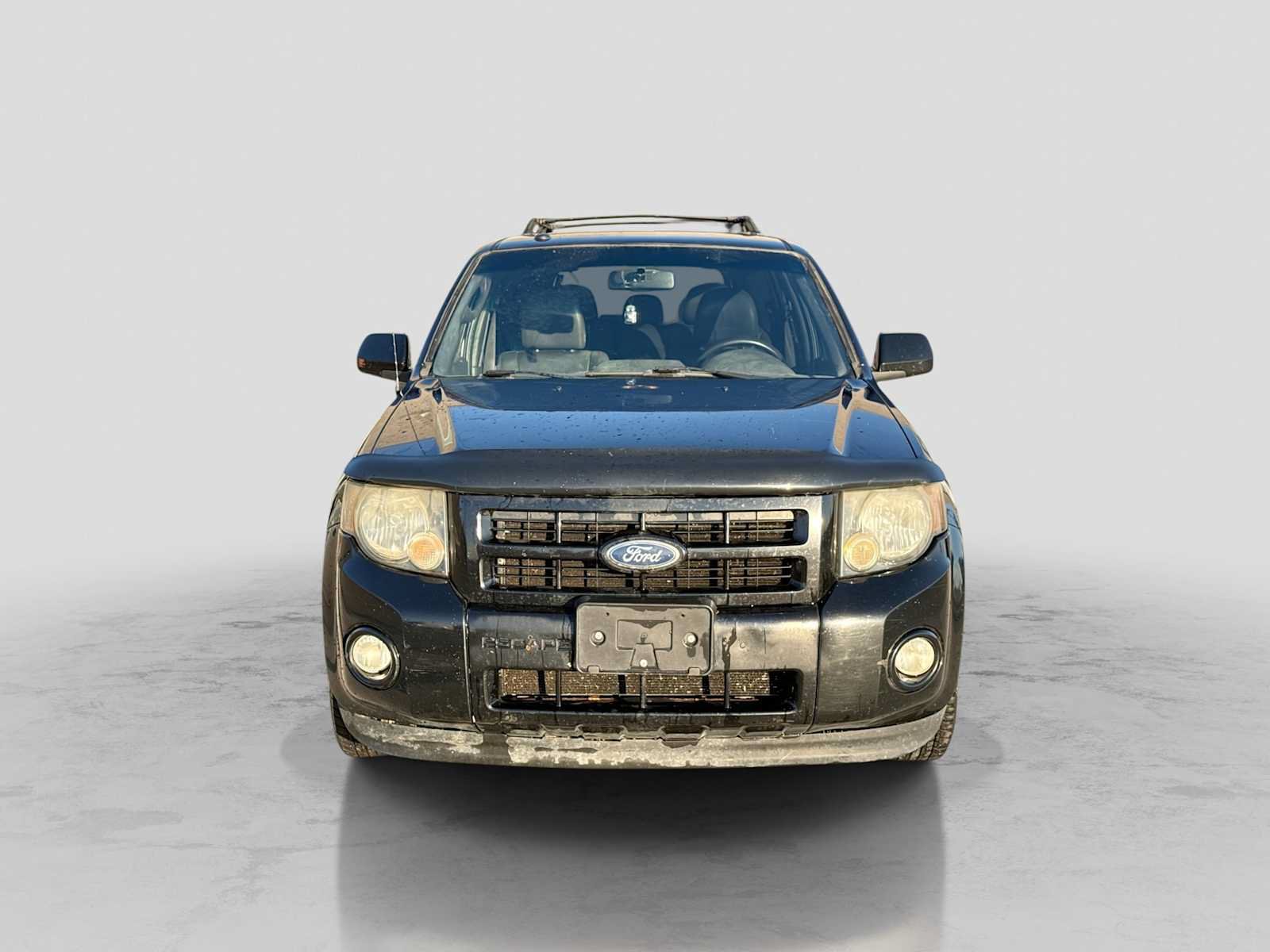 Used 2010 Ford Escape XLT AWD/4WD image 8