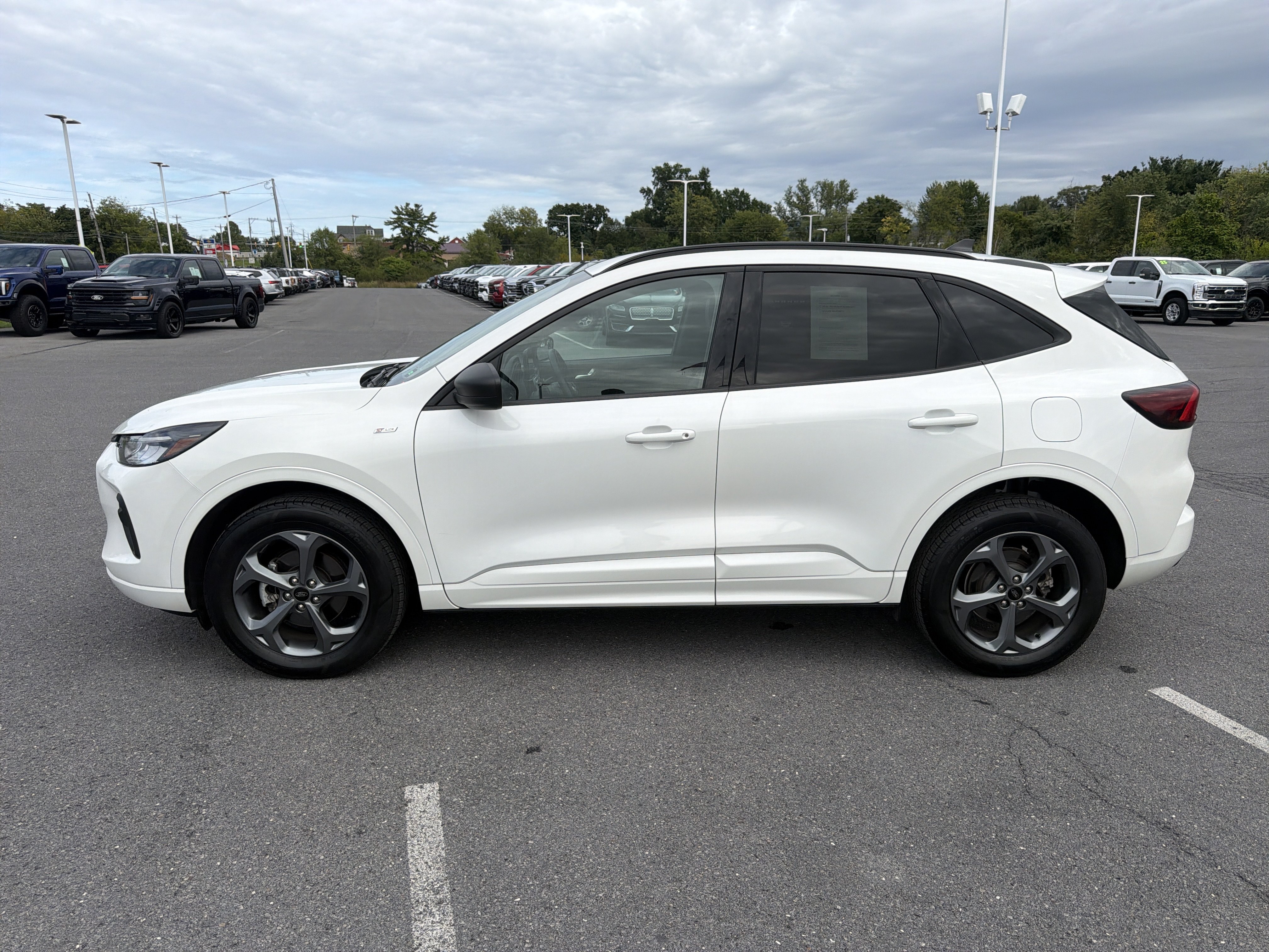 Used 2024 Ford Escape ST-Line AWD/4WD image 7