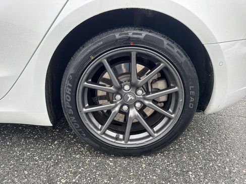 Used 2019 Tesla Model 3 Standard Range Plus image 32