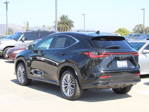 Certified 2025 Lexus NX 350h AWD w/ Cold Area Package image 18