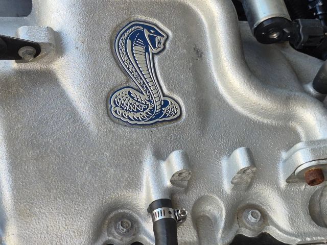 Used 2001 Ford Mustang Cobra RWD image 33
