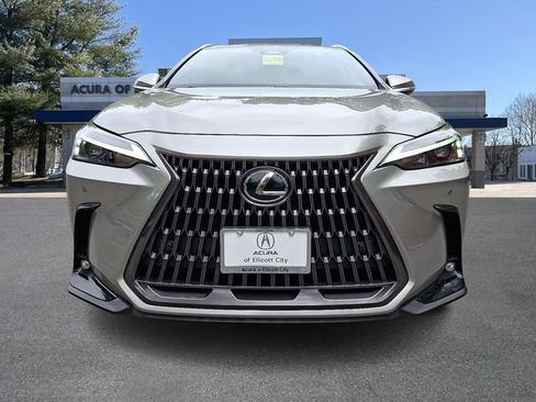 Used 2024 Lexus NX 250 FWD image 2