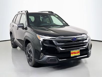 New 2026 Subaru Forester Limited
