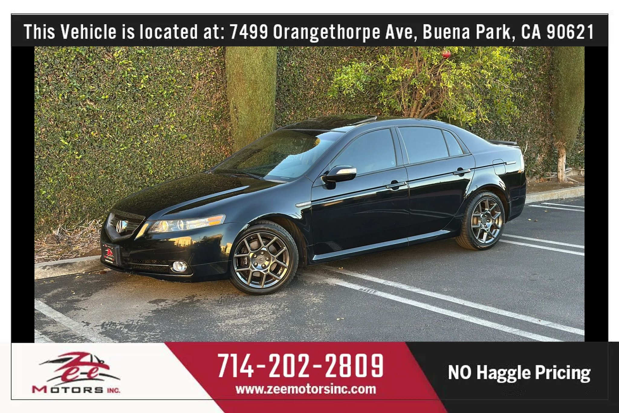 Used 2008 Acura TL Type-S FWD image 13
