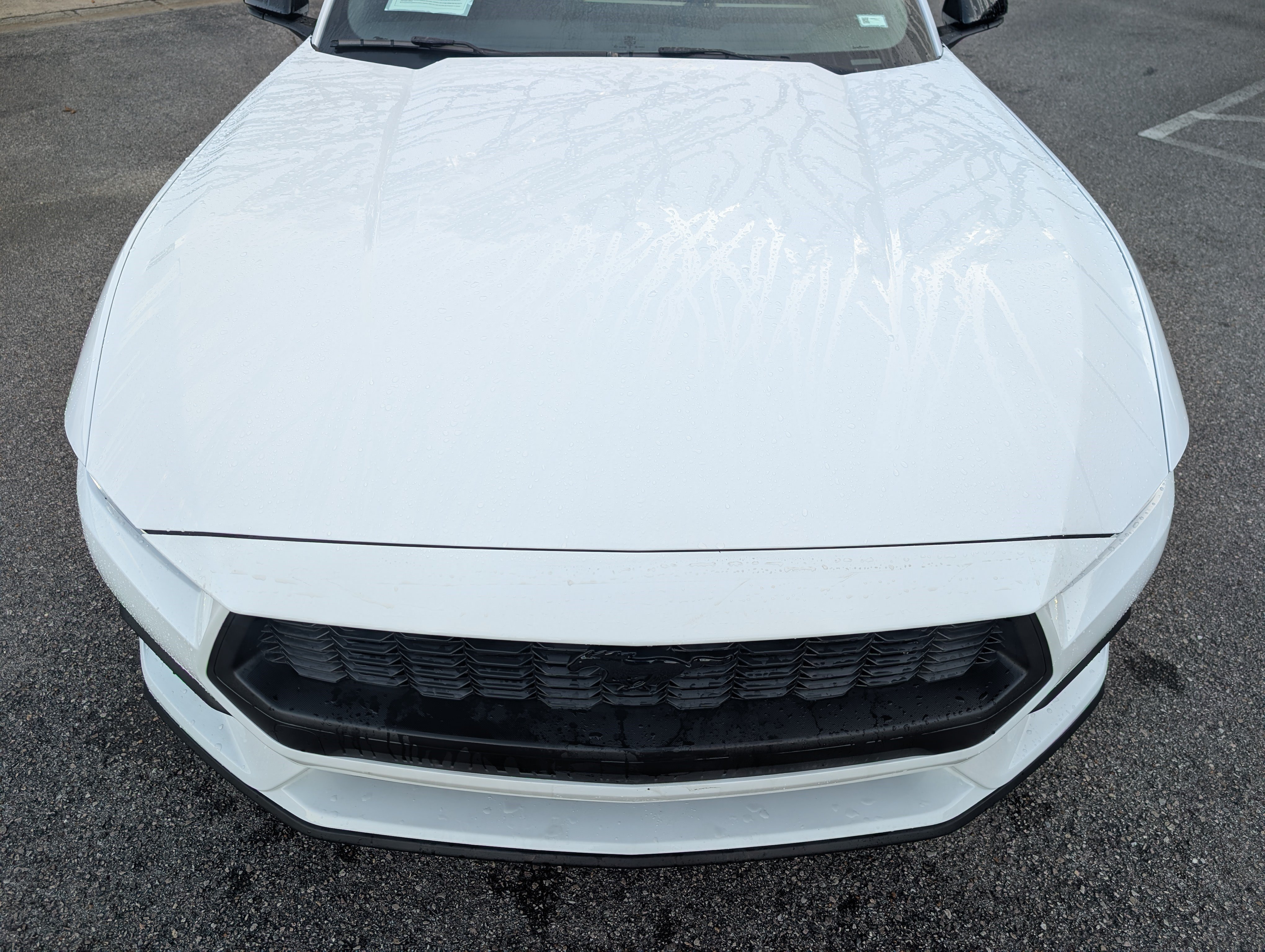 Used 2026 Ford Mustang Premium RWD image 12