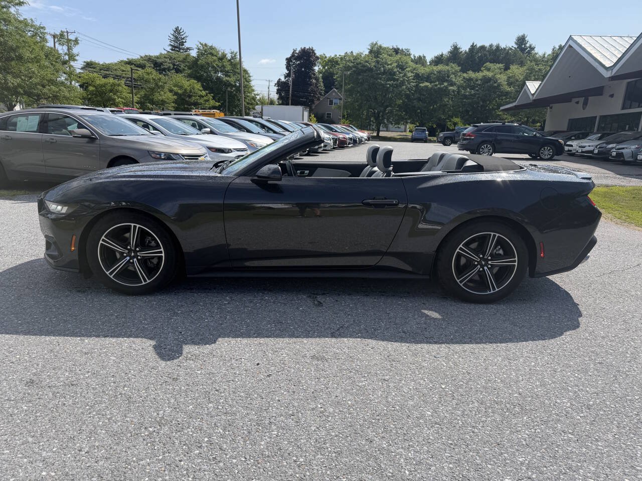 Used 2024 Ford Mustang Premium RWD image 2