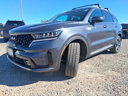 Used 2023 Kia Sorento EX