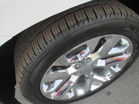 Used 2019 Chevrolet Silverado 1500 LT w/ All-Star Edition image 12