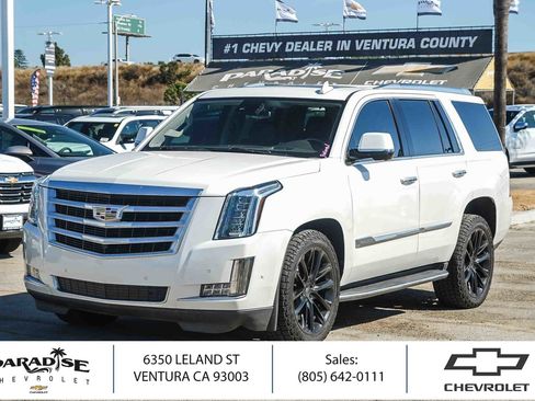 Used 2020 Cadillac Escalade Luxury AWD/4WD image 1
