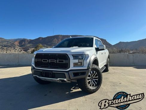 Used 2019 Ford F150 Raptor w/ Equipment Group 802A Luxury image 1