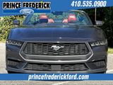 Used 2024 Ford Mustang Premium image 2