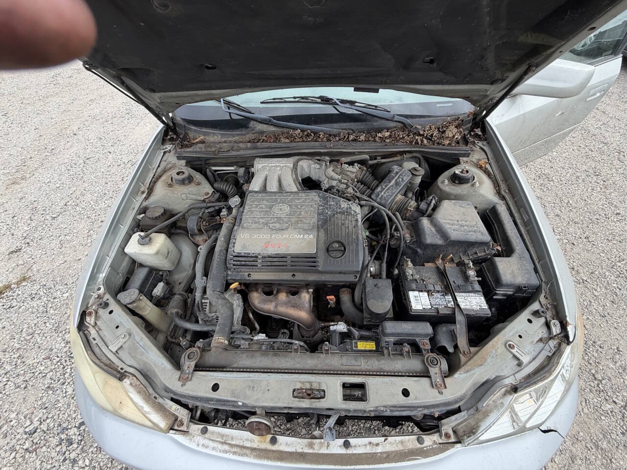 Used 2000 Toyota Avalon XL FWD image 41