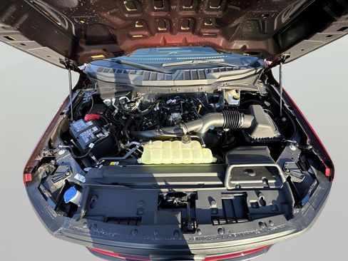 New 2025 Ford F150 STX w/ Equipment Group 201A FX4 image 17