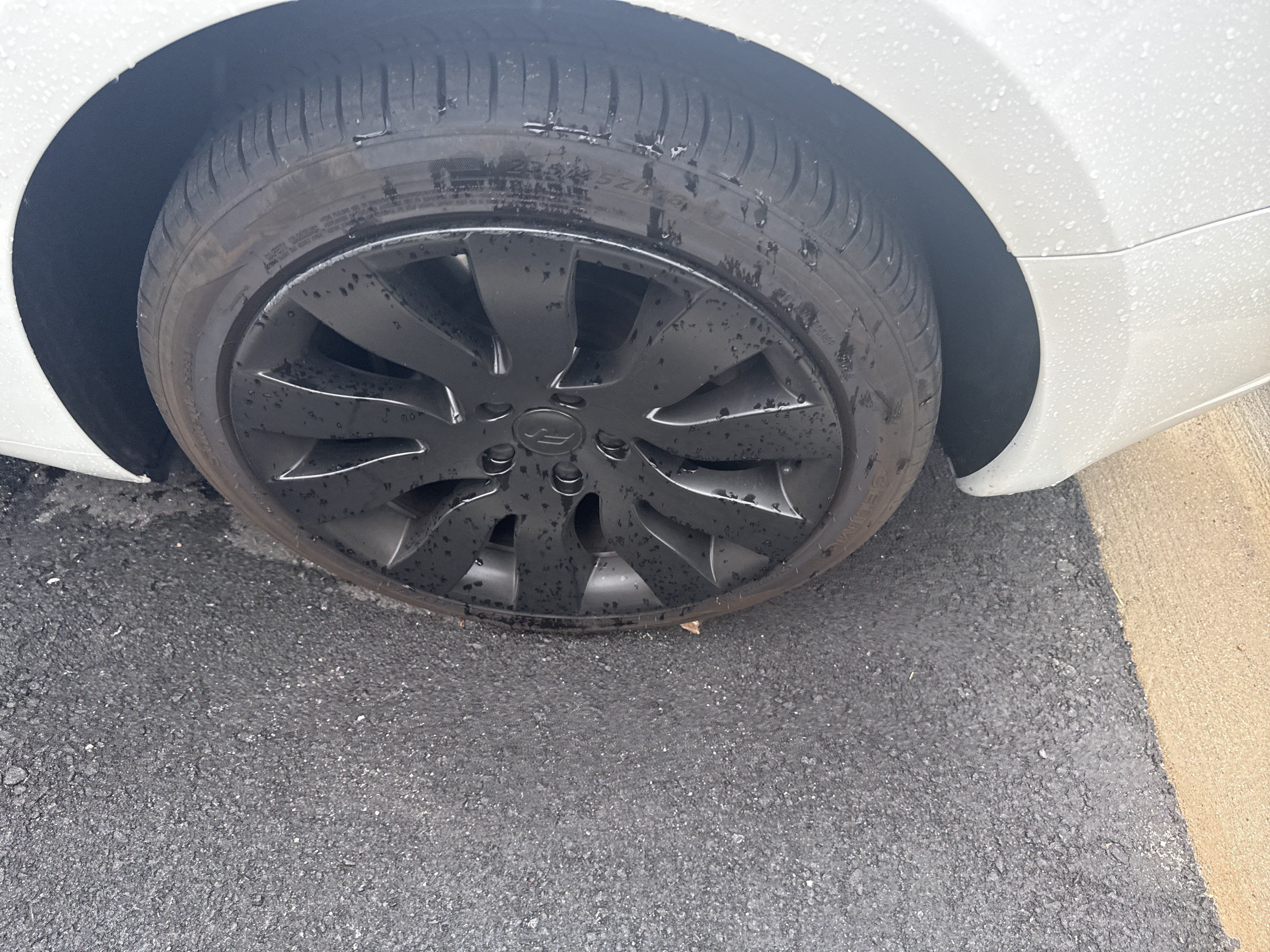 Used 2023 Tesla Model 3 Standard Range RWD image 11