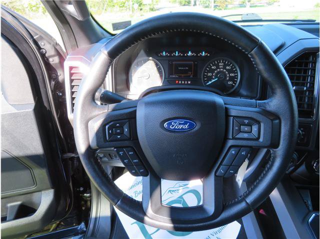 Used 2019 Ford F150 XLT w/ Equipment Group 302A Luxury AWD/4WD image 10