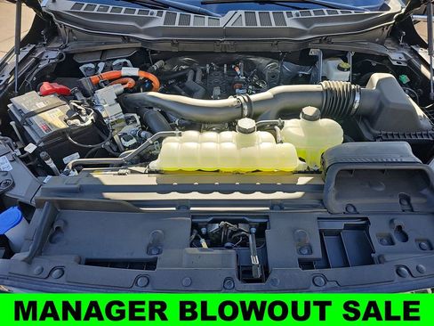 New 2025 Ford F150 XLT w/ Equipment Group 303A High AWD/4WD image 33