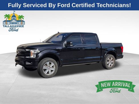 Used 2019 Ford F150 Platinum w/ Equipment Group 701A Luxury AWD/4WD image 1